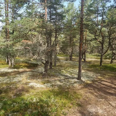 Norwegian Saunahouse 4* Haapse