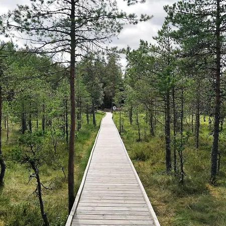 Πανσιόν Norwegian Saunahouse