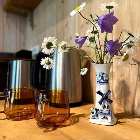 Norwegian Saunahouse Πανσιόν Haapse