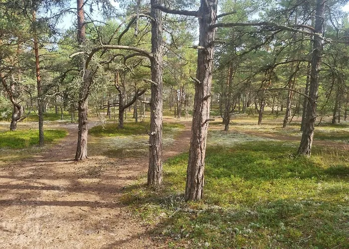 Norwegian Saunahouse 4* Haapse