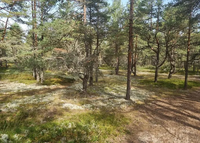 Norwegian Saunahouse 4* Haapse