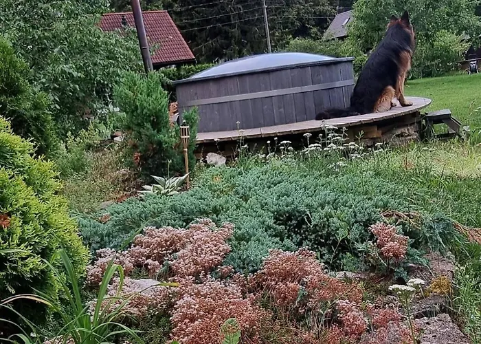 招待所 Norwegian Saunahouse 4*