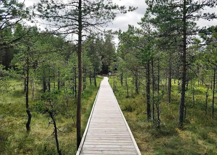 招待所 Norwegian Saunahouse