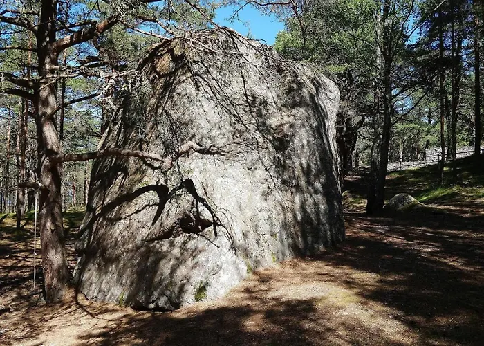 招待所 Norwegian Saunahouse 4*