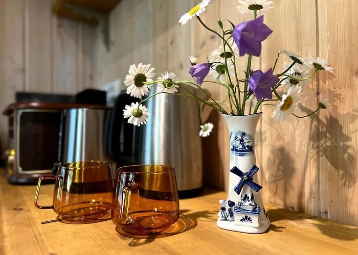 Norwegian Saunahouse 招待所 Haapse